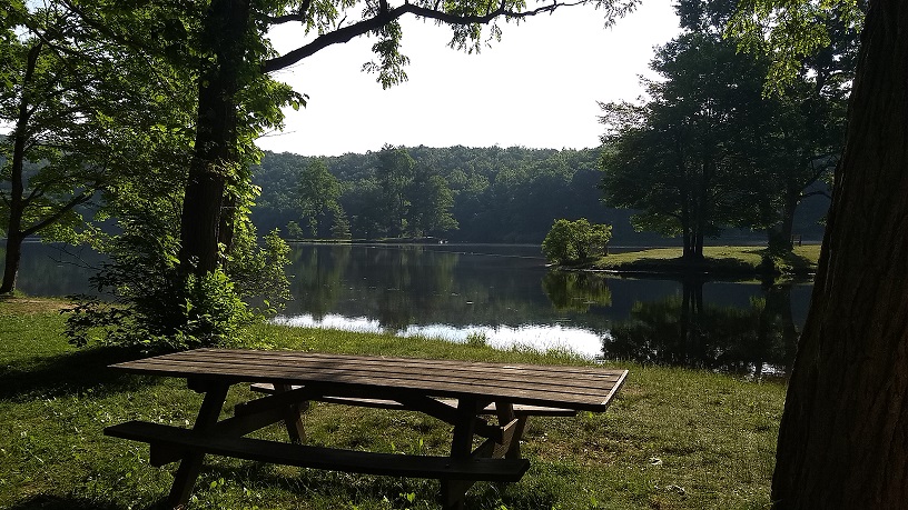 Summer time at Sherando Lake