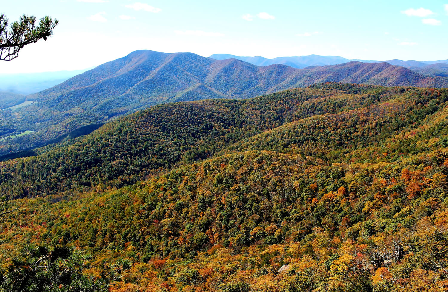 The sun shines on the beautiful orange, red green and yellow fall foliage of the mountains